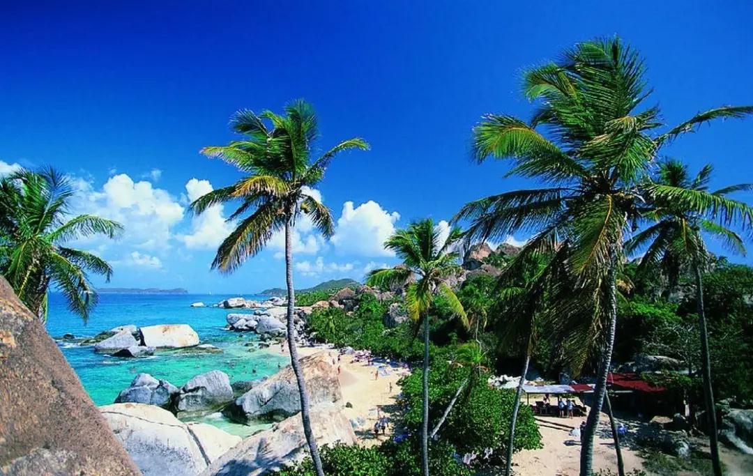 微信图片_20220216092808.jpg 微信图片_20220216092808.jpg